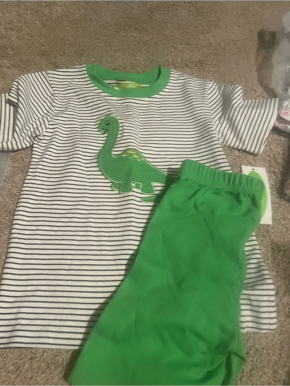 Kids Green Dinosaur Stripe Pajama Set
